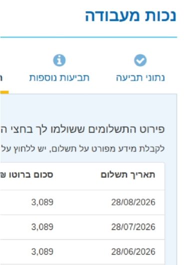 פירוט התשלומים החודשיים — 3,089 ₪ מדי חודש